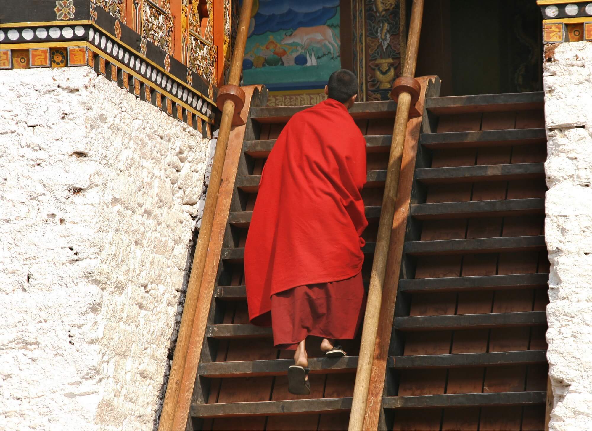 Moine à Punakha Dzong, Bhoutan