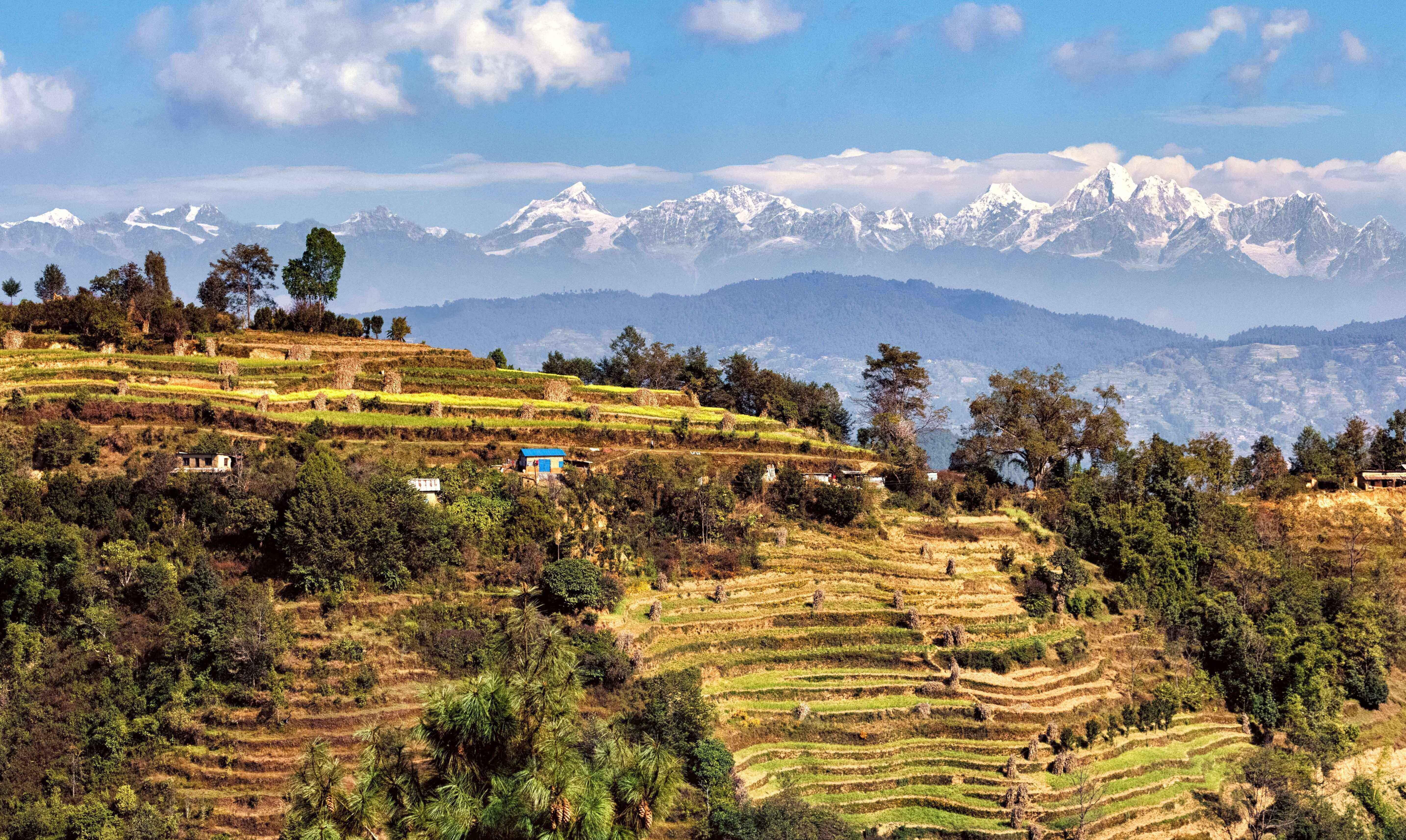 Culture en terrasse 2025 himalaya