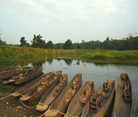 Barques à Chitwan, zone de Narayani