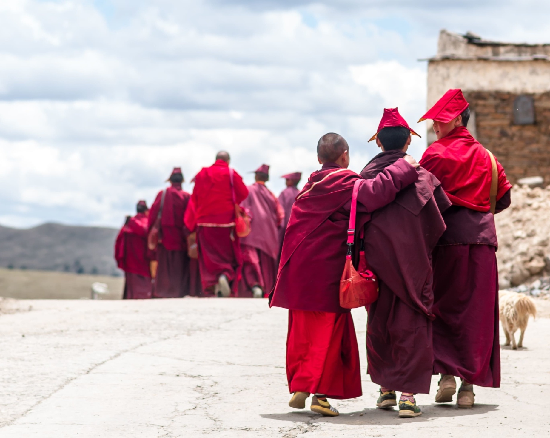 Moines novices, Tibet